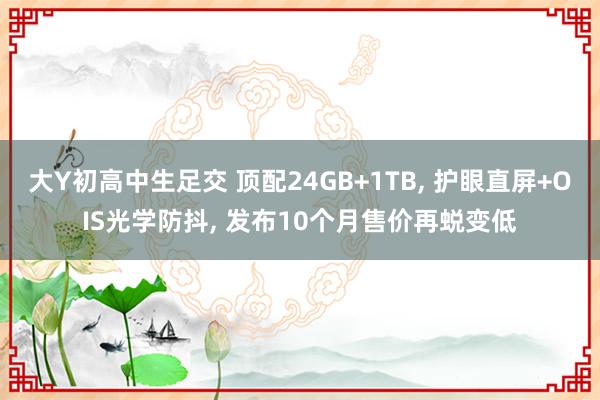 大Y初高中生足交 顶配24GB+1TB, 护眼直屏+OIS光学防抖, 发布10个月售价再蜕变低