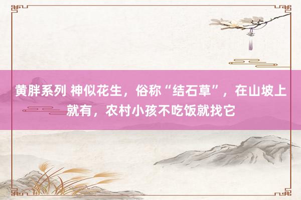 黄胖系列 神似花生，俗称“结石草”，在山坡上就有，农村小孩不吃饭就找它