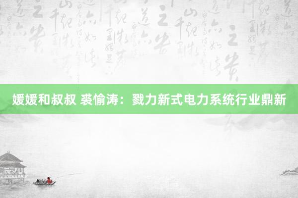 媛媛和叔叔 裘愉涛：戮力新式电力系统行业鼎新
