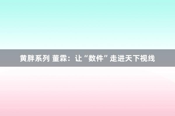 黄胖系列 董霖：让“数件”走进天下视线