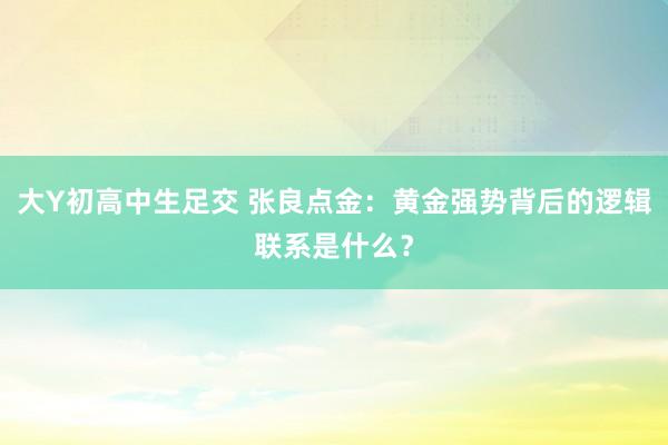大Y初高中生足交 张良点金：黄金强势背后的逻辑联系是什么？