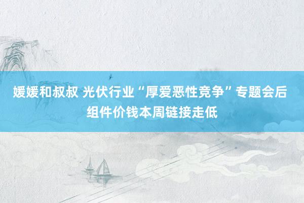媛媛和叔叔 光伏行业“厚爱恶性竞争”专题会后 组件价钱本周链接走低