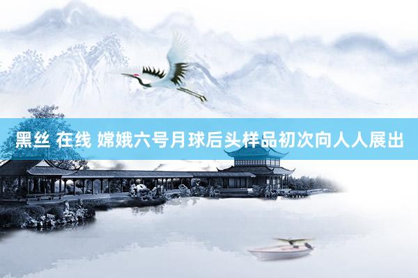 黑丝 在线 嫦娥六号月球后头样品初次向人人展出