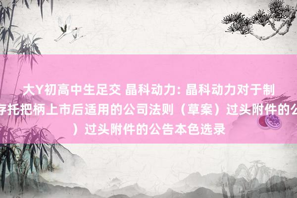 大Y初高中生足交 晶科动力: 晶科动力对于制定公司内行存托把柄上市后适用的公司法则（草案）过头附件的公告本色选录