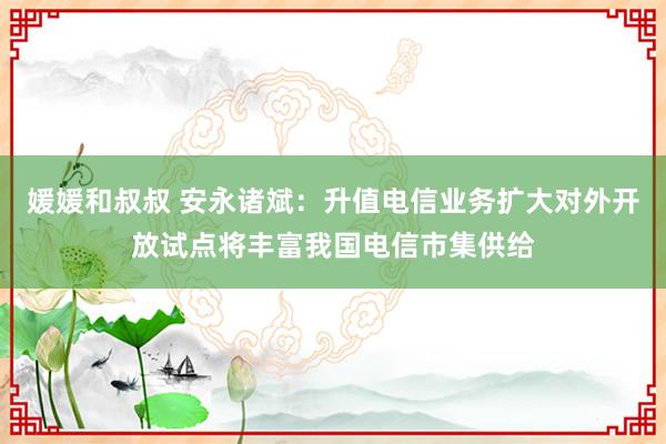 媛媛和叔叔 安永诸斌：升值电信业务扩大对外开放试点将丰富我国电信市集供给