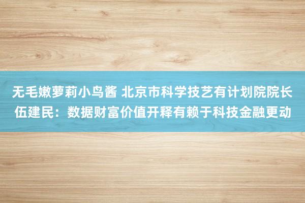 无毛嫩萝莉小鸟酱 北京市科学技艺有计划院院长伍建民：数据财富价值开释有赖于科技金融更动