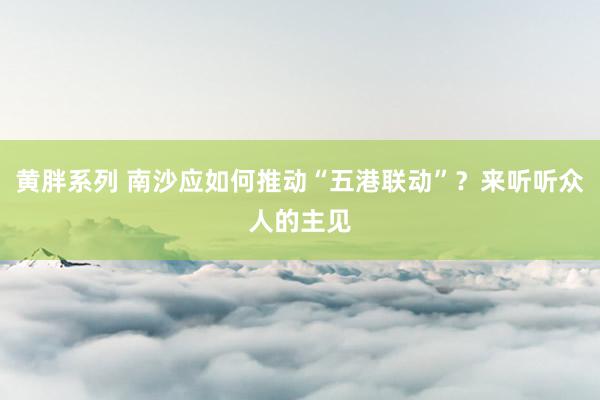 黄胖系列 南沙应如何推动“五港联动”？来听听众人的主见