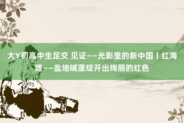 大Y初高中生足交 见证——光影里的新中国丨红海滩——盐地碱蓬绽开出绚丽的红色