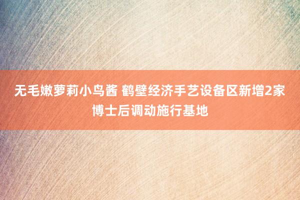 无毛嫩萝莉小鸟酱 鹤壁经济手艺设备区新增2家博士后调动施行基地