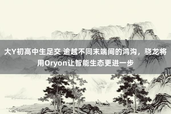 大Y初高中生足交 逾越不同末端间的鸿沟，骁龙将用Oryon让智能生态更进一步