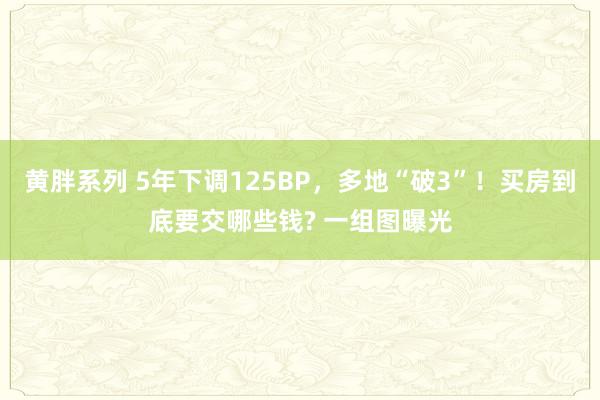 黄胖系列 5年下调125BP，多地“破3”！买房到底要交哪些钱? 一组图曝光