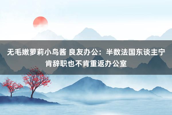 无毛嫩萝莉小鸟酱 良友办公：半数法国东谈主宁肯辞职也不肯重返办公室