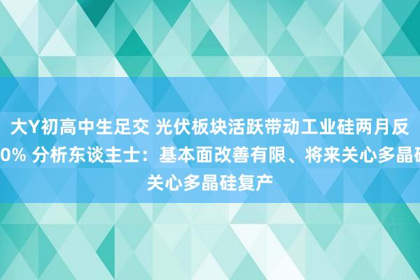 大Y初高中生足交 光伏板块活跃带动工业硅两月反弹超30% 分析东谈主士：基本面改善有限、将来关心多晶硅复产