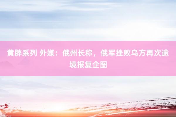 黄胖系列 外媒：俄州长称，俄军挫败乌方再次逾境报复企图