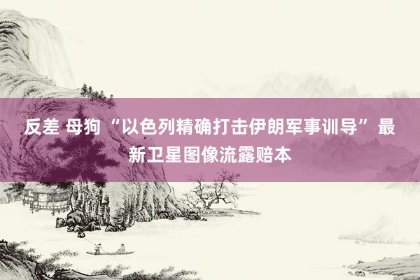 反差 母狗 “以色列精确打击伊朗军事训导” 最新卫星图像流露赔本