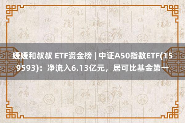 媛媛和叔叔 ETF资金榜 | 中证A50指数ETF(159593)：净流入6.13亿元，居可比基金第一