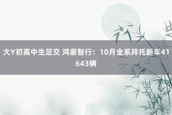 大Y初高中生足交 鸿蒙智行：10月全系拜托新车41643辆