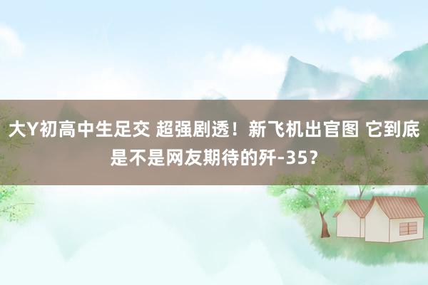 大Y初高中生足交 超强剧透！新飞机出官图 它到底是不是网友期待的歼-35？