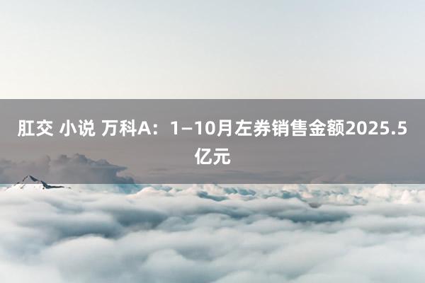 肛交 小说 万科A：1—10月左券销售金额2025.5亿元