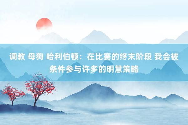 调教 母狗 哈利伯顿：在比赛的终末阶段 我会被条件参与许多的明慧策略
