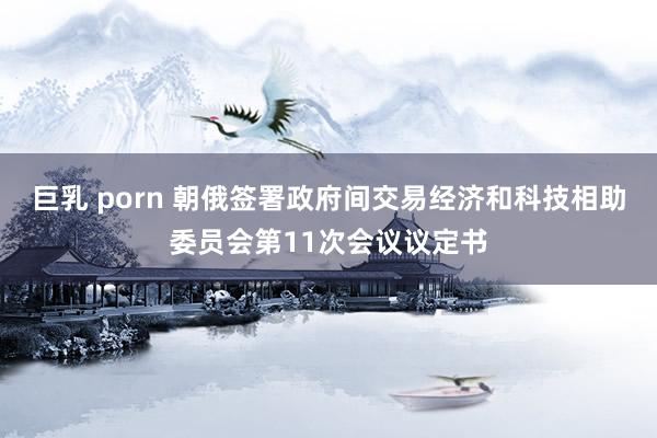 巨乳 porn 朝俄签署政府间交易经济和科技相助委员会第11次会议议定书