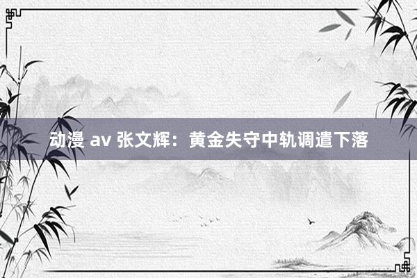 动漫 av 张文辉：黄金失守中轨调遣下落