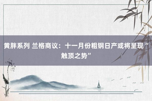 黄胖系列 兰格商议：十一月份粗钢日产或将呈现“触顶之势”