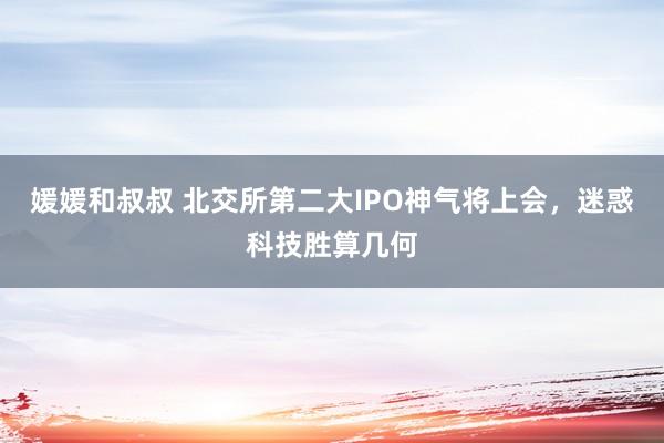 媛媛和叔叔 北交所第二大IPO神气将上会，迷惑科技胜算几何