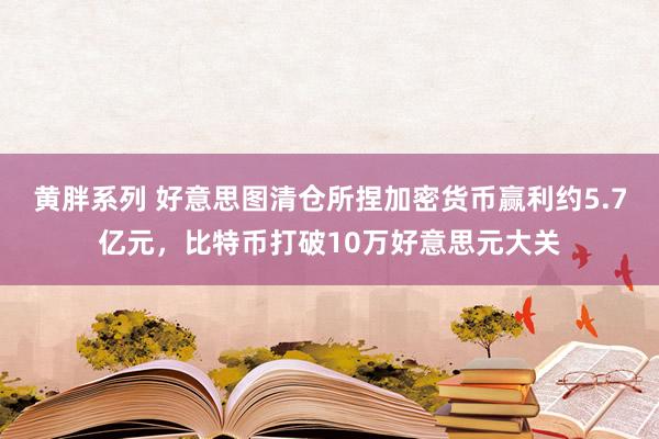 黄胖系列 好意思图清仓所捏加密货币赢利约5.7亿元，比特币打破10万好意思元大关