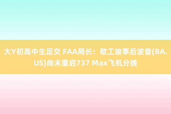 大Y初高中生足交 FAA局长：歇工竣事后波音(BA.US)尚未重启737 Max飞机分娩