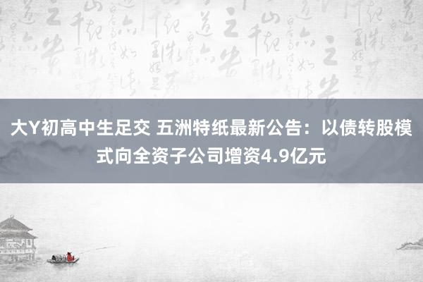 大Y初高中生足交 五洲特纸最新公告：以债转股模式向全资子公司增资4.9亿元