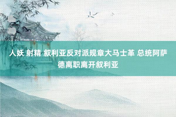 人妖 射精 叙利亚反对派规章大马士革 总统阿萨德离职离开叙利亚