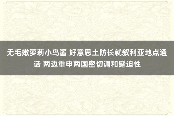 无毛嫩萝莉小鸟酱 好意思土防长就叙利亚地点通话 两边重申两国密切调和蹙迫性