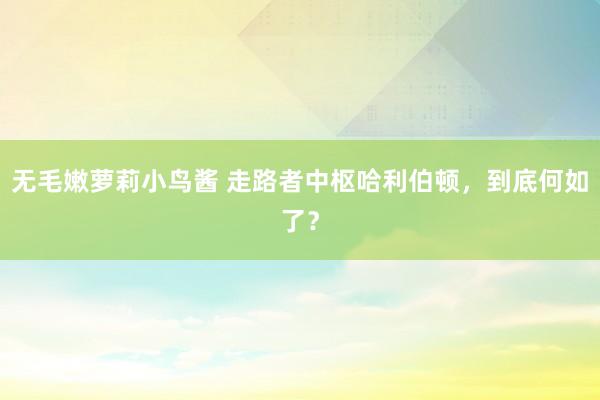 无毛嫩萝莉小鸟酱 走路者中枢哈利伯顿，到底何如了？