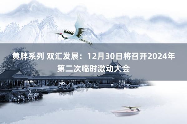 黄胖系列 双汇发展：12月30日将召开2024年第二次临时激动大会