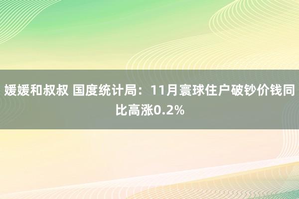 媛媛和叔叔 国度统计局：11月寰球住户破钞价钱同比高涨0.2%