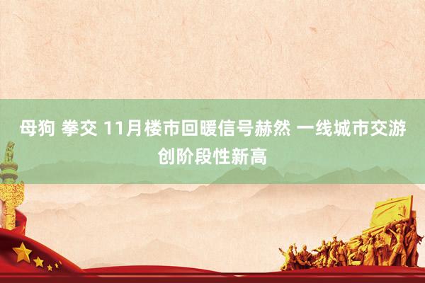 母狗 拳交 11月楼市回暖信号赫然 一线城市交游创阶段性新高