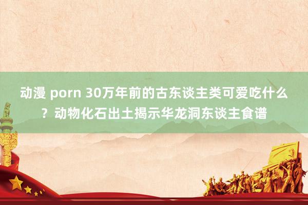 动漫 porn 30万年前的古东谈主类可爱吃什么？动物化石出土揭示华龙洞东谈主食谱