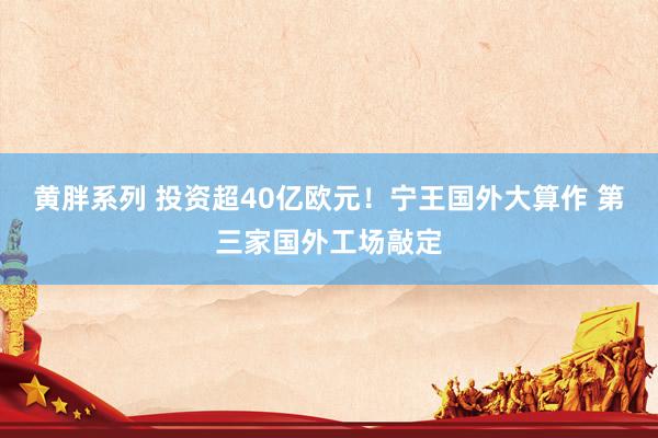 黄胖系列 投资超40亿欧元！宁王国外大算作 第三家国外工场敲定