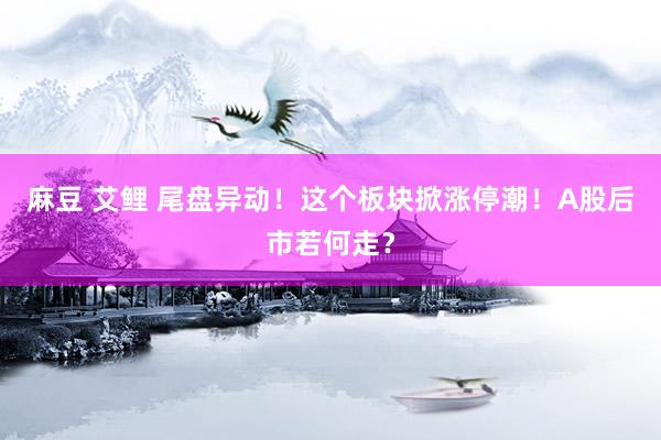 麻豆 艾鲤 尾盘异动！这个板块掀涨停潮！A股后市若何走？
