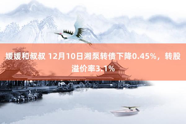 媛媛和叔叔 12月10日湘泵转债下降0.45%，转股溢价率3.1%
