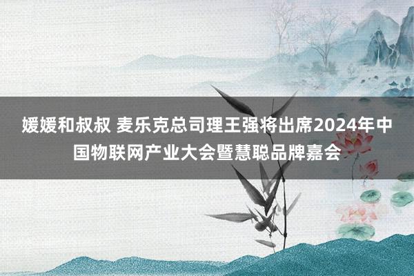 媛媛和叔叔 麦乐克总司理王强将出席2024年中国物联网产业大会暨慧聪品牌嘉会
