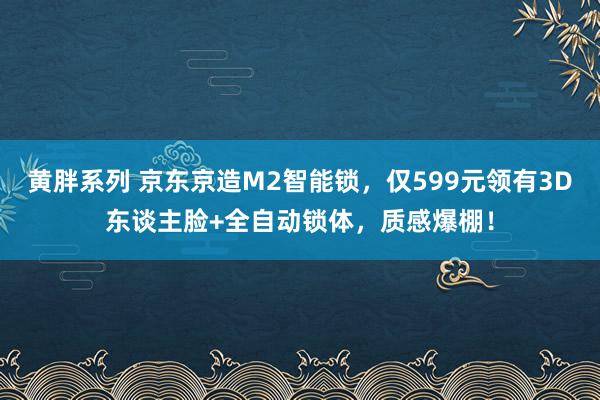 黄胖系列 京东京造M2智能锁，仅599元领有3D东谈主脸+全自动锁体，质感爆棚！