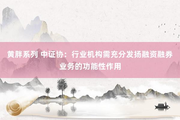 黄胖系列 中证协：行业机构需充分发扬融资融券业务的功能性作用