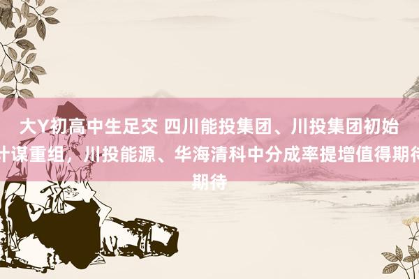 大Y初高中生足交 四川能投集团、川投集团初始计谋重组，川投能源、华海清科中分成率提增值得期待