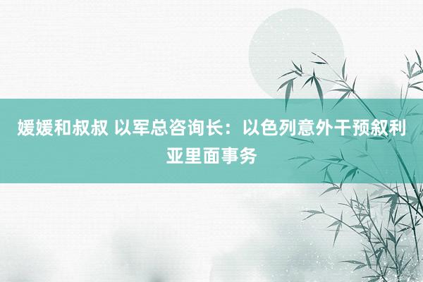 媛媛和叔叔 以军总咨询长：以色列意外干预叙利亚里面事务