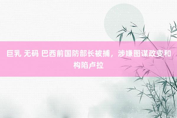 巨乳 无码 巴西前国防部长被捕，涉嫌图谋政变和构陷卢拉
