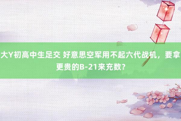 大Y初高中生足交 好意思空军用不起六代战机，要拿更贵的B-21来充数？