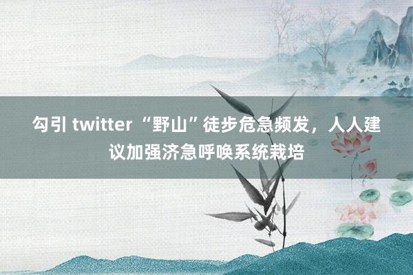 勾引 twitter “野山”徒步危急频发，人人建议加强济急呼唤系统栽培