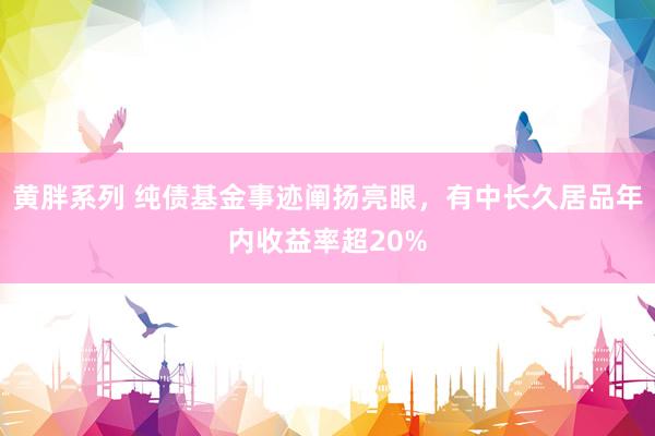 黄胖系列 纯债基金事迹阐扬亮眼，有中长久居品年内收益率超20%